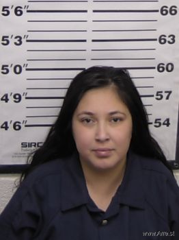 Bianca Flor Gonzalez Mugshot