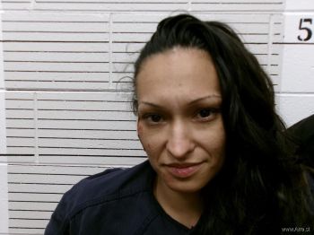 Brandi  Chavez Mugshot