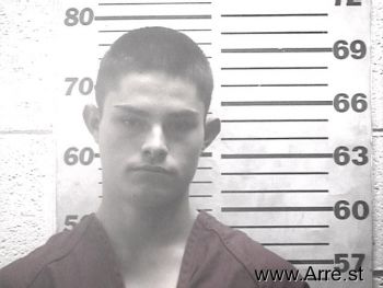 Brandon  Copelin-brown Mugshot