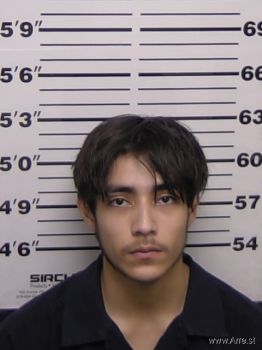 Brandon  Martinez Mugshot