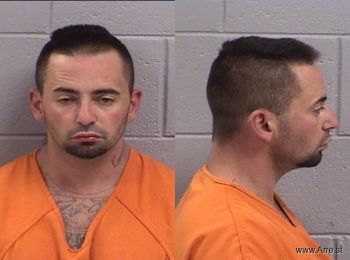 Brandon Michael Roe Mugshot