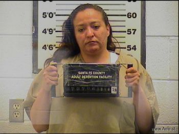 Brandy  Martinez-vigil Mugshot