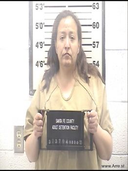 Brandy  Martinez-vigil Mugshot