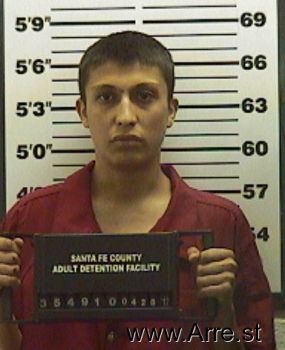 Brian C Gonzales Mugshot