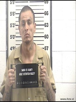 Brian  Levi Mugshot