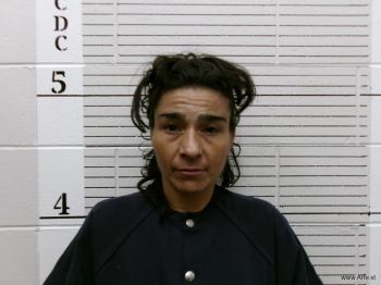 Brianna Y Silva Mugshot