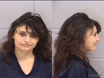 Bridgette Lee Honaker Mugshot