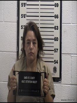 Brittany  Johnson Mugshot