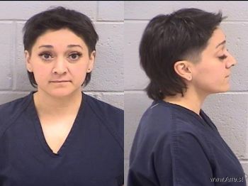 Brittney Nicole Sanchez Mugshot