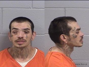 Bruce Micah Schwerin Mugshot