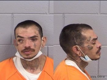 Bruce Micah Schwerin Mugshot