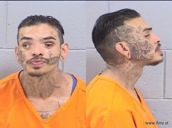 Bruce Micah Schwerin Mugshot