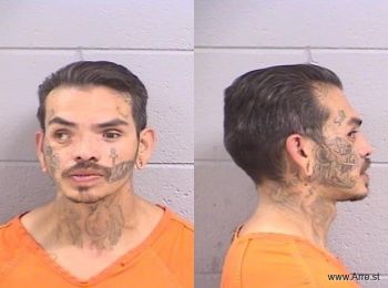 Bruce Micah Schwerin Mugshot