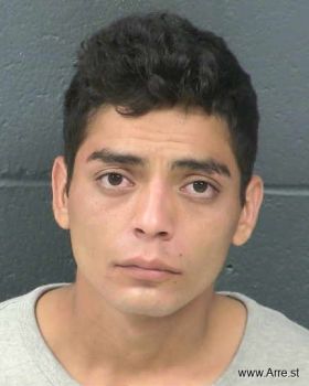 Christian  Mejia-flores Mugshot