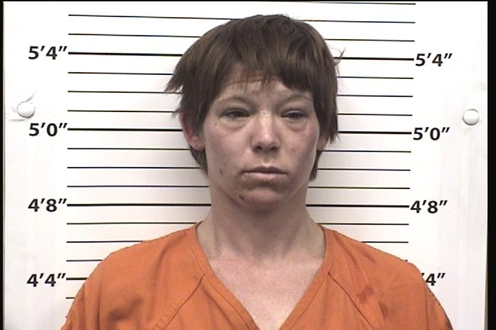 Crystal  Peterson Mugshot