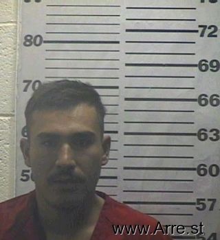 Carlos  Estrada Mugshot