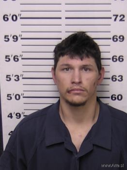 Chase Bryant Mendoza Mugshot