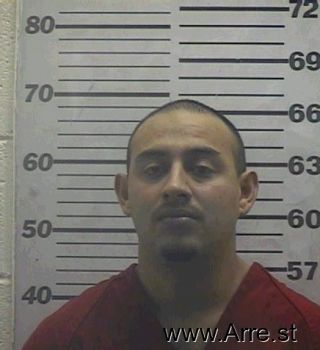 Chris  Acuna Mugshot