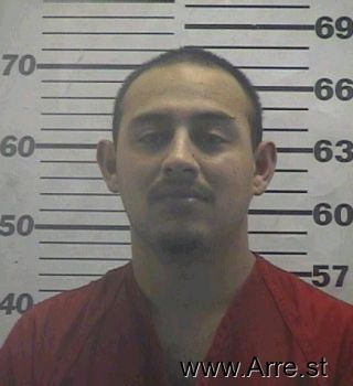 Chris  Acuna Mugshot