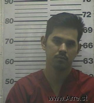 Christian A Castro Mugshot