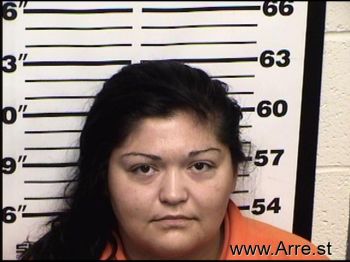 Christina  Acosta Mugshot