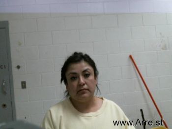 Christine  Torres Mugshot