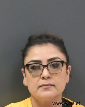 Christine Nmn Torres Mugshot