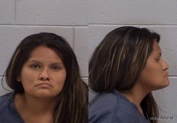 Crystal Shandiin Austin Mugshot