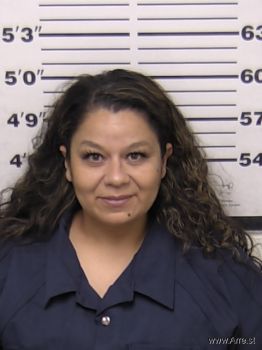 Crystal Jo Castillo Mugshot