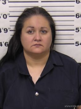 Cynthia Anne Rodriguez Mugshot