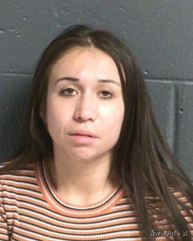 Diana  Sanchez Mugshot