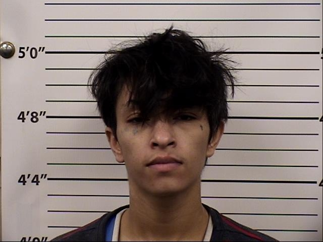 Dominique  Gallegos Mugshot