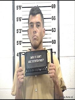 Daniel De Jesus Castillo-cota Mugshot