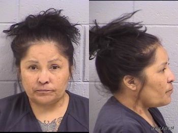 Danielle Faye Warren Mugshot