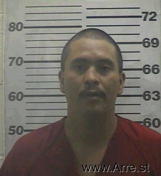 Danny  Sanchez Mugshot