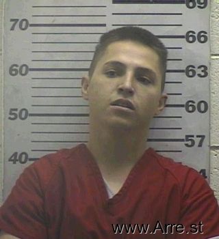 David  Bourassa Mugshot