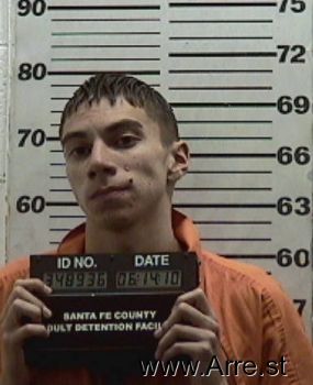 David  Lizer Mugshot