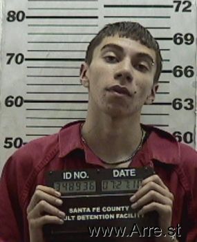 David  Lizer Mugshot