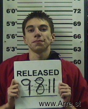 David  Lizer Mugshot