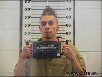 David Kenny Lizer Mugshot