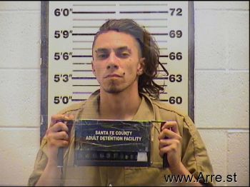 David Kenny Lizer Mugshot