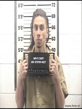 David Kenny Lizer Mugshot