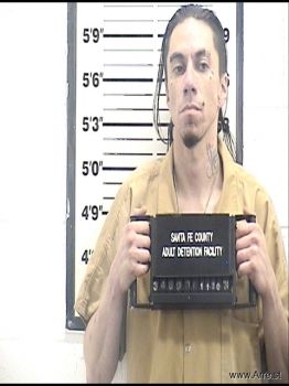 David Kenny Lizer Mugshot