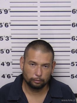 David A Silvas Mugshot