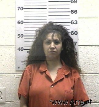 Debbie  Chavez Mugshot