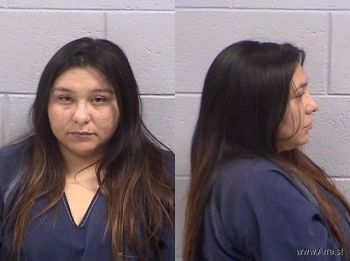 Desiree Ashley Burke Mugshot