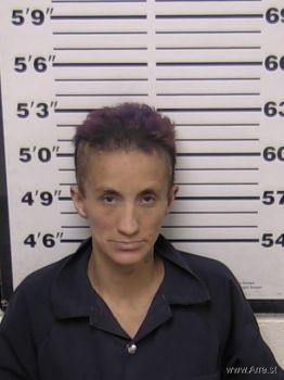 Desiree  Sanchez Mugshot