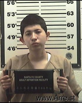 Destiny N Martinez Mugshot