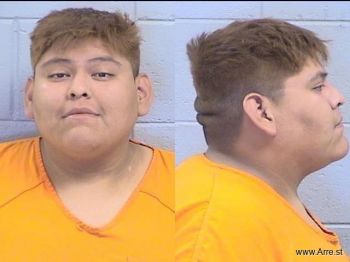 Devin Tai Todacheenie Mugshot