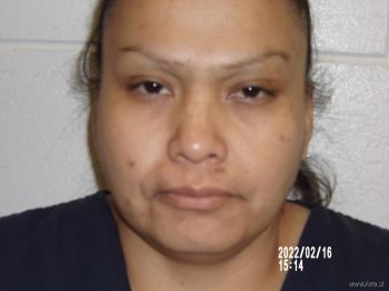 Diana  Apachito Mugshot